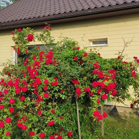 Nr.42 Holiday home